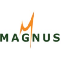 Magnus IT Solutions logo, Magnus IT Solutions contact details