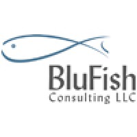 BluFish Consulting logo, BluFish Consulting contact details