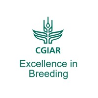 CGIAR Excellence in Breeding logo, CGIAR Excellence in Breeding contact details