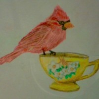 Lady Redbird Tea room logo, Lady Redbird Tea room contact details