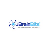 BrainBits LLC logo, BrainBits LLC contact details