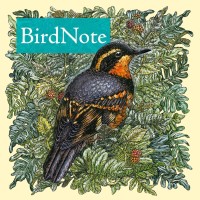 BirdNote! logo, BirdNote! contact details