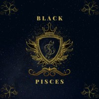 BLACK PISCES IT SOLUTIONS PTE LIMITED logo, BLACK PISCES IT SOLUTIONS PTE LIMITED contact details