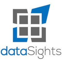 dataSights logo, dataSights contact details