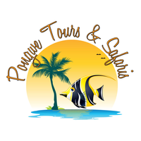 Pongwe Tours & Safaris logo, Pongwe Tours & Safaris contact details