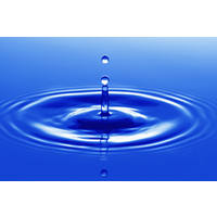 Honest Drain Solutions LLC logo, Honest Drain Solutions LLC contact details