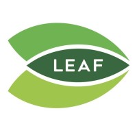 Leadership and Education for All Foundation (LEAF) logo, Leadership and Education for All Foundation (LEAF) contact details