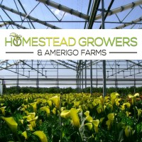 Amerigo Farms/Homestead Growers logo, Amerigo Farms/Homestead Growers contact details