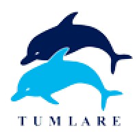 TUMLARE SOFTWARE SERVICES PRIVATE LIMITED. logo, TUMLARE SOFTWARE SERVICES PRIVATE LIMITED. contact details