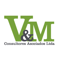 V&M Consultores Asociados LTDA logo, V&M Consultores Asociados LTDA contact details