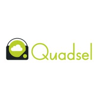 Quadsel Systems Pvt Ltd. logo, Quadsel Systems Pvt Ltd. contact details