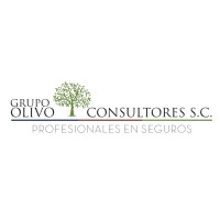 Grupo Olivo Consultores S. C. logo, Grupo Olivo Consultores S. C. contact details