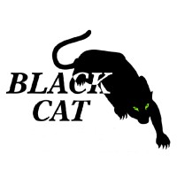 Black Cat Steel Erection & Crane Services logo, Black Cat Steel Erection & Crane Services contact details