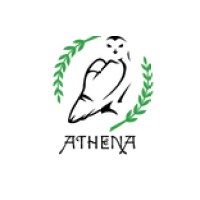 Athena Coding logo, Athena Coding contact details