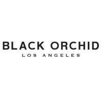 Black Orchid Denim logo, Black Orchid Denim contact details