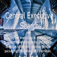 Central Executive Search Inc logo, Central Executive Search Inc contact details