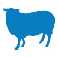 Blue Sheep logo, Blue Sheep contact details