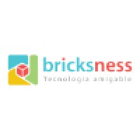 Bricksness logo, Bricksness contact details