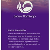 Playa Flamingo logo, Playa Flamingo contact details