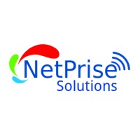 NetPrise Solutions logo, NetPrise Solutions contact details