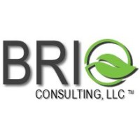 Brio Consulting, LLC logo, Brio Consulting, LLC contact details