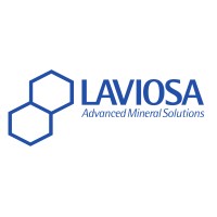 Laviosa Chimica Mineraria S.p.A logo, Laviosa Chimica Mineraria S.p.A contact details