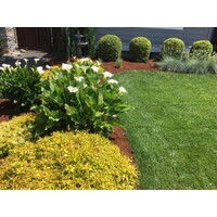 Neighborhood Lawn Care logo, Neighborhood Lawn Care contact details