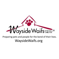 Wayside Waifs logo, Wayside Waifs contact details