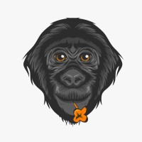 Friends of Bonobos logo, Friends of Bonobos contact details