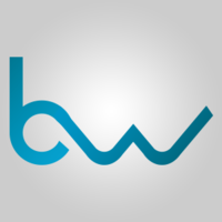 Blue Web Solutions logo, Blue Web Solutions contact details