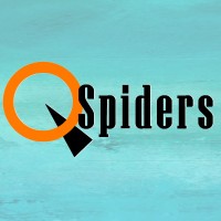 QSpiders - Software Testing Training Institute logo, QSpiders - Software Testing Training Institute contact details