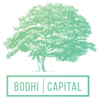 Bodhi Capital logo, Bodhi Capital contact details