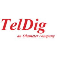 TelDig Inc. logo, TelDig Inc. contact details