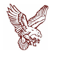 Eagle Alarm Systems, Inc. logo, Eagle Alarm Systems, Inc. contact details