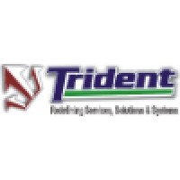 Trident Infra Solutions (P) Ltd logo, Trident Infra Solutions (P) Ltd contact details