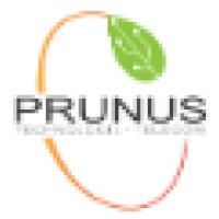 Prunus logo, Prunus contact details