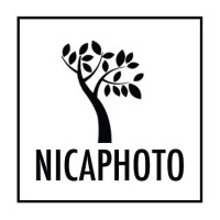 NicaPhoto logo, NicaPhoto contact details