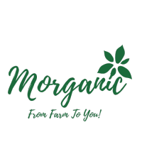 Morganic logo, Morganic contact details