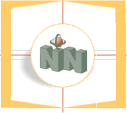 netNumina logo, netNumina contact details