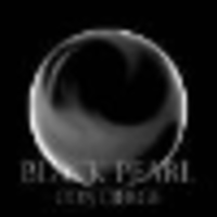 Black Pearl Concierge, LLC logo, Black Pearl Concierge, LLC contact details