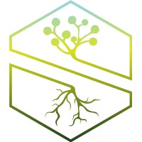 Superforest logo, Superforest contact details