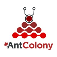 AntColony logo, AntColony contact details