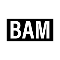 BAM Enterprises, Inc logo, BAM Enterprises, Inc contact details