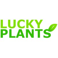 LUCKY PLANTS logo, LUCKY PLANTS contact details