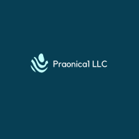 Praonica1 LLC logo, Praonica1 LLC contact details