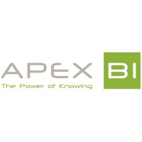 Apex Business Intelligence (Pty) Ltd logo, Apex Business Intelligence (Pty) Ltd contact details