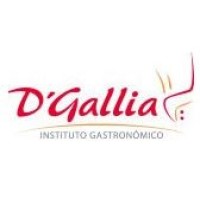 Instituto Alta Cocina D'Gallia logo, Instituto Alta Cocina D'Gallia contact details