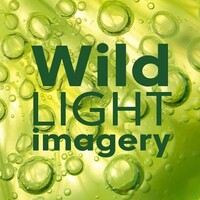 Wild Light Imagery logo, Wild Light Imagery contact details