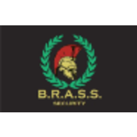 BRASS SECURITY LLC logo, BRASS SECURITY LLC contact details