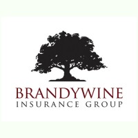 Brandywine Insurance Group logo, Brandywine Insurance Group contact details